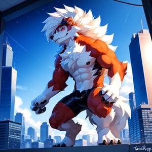 photorealistic, high detailed skin, high detailed face, intricate detail, masterpiece, professional photo, Pokemon Arcanine, ((fluffy fur, fluffy, furry body)), red eyes, hair tuft, long hair, (light blue body, blue body, muscles), wolf tail, ((white hair, Only midnight_lycanroc Long mohawk hair)), 5 fingers, 4 toes, White toe claws, looking at viewer, Thick body, muscles, Tiger stripes in arms and legs, hi res, by pache riggs, by takemoto arashi, by vallhund, anime, anime style, looking at the audience, Standing, cross legs, sharp shadows, shaded, male focus, extreme detailed illustration, good anatomy, perfect anatomy, detailed RPG CG, masterpiece, best quality, detailed background, Single person, indoor,city,Look outside,Outside is the city,Black windbreaker,Black shorts, Alone,night,Artistic tones,Stand by the window.The highest quality of scene detail, teenager, big_muscle,Best quality hands, best quality eye,detailed fur,Delicate eyes.Extreme picture quality,by sollyz,by zixiong,by milkytiger1145