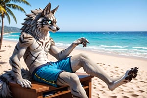 AniVerse,Seth, Big furry tail, sitting in a desk, casual clothing, beach shorts, best quality fingers in hands and feet, ((5fingers in hands, 4 toes)), hansome, detailed face, detailed eyes, big fluffy tail, trigger_(anime), 4k studio quality.,