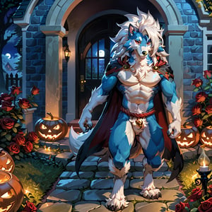 dark dark dark mansion full moon night with path of red roses planted around the stones to the entrance of the mansion, Pokemon Arcanine heading towards the front door, ((fluffy fur, fluffy, furry body)), red eyes, hair tuft, long hair, (light blue body, blue body), (white torso), muscle, hunk, sexy, handsome boy, detailed eyes, wolf tail, ((white hair, Only midnight_lycanroc Long mohawk hair)), White toe claws, 5 fingers, 4 toes, Tiger stripes in arms and legs, wearing a black cape and old thorne rope,looking at the viewer, Holding a jack-o-lantern in one hand, hi res,  sharp shadows, shaded, male focus, extreme detailed illustration, best quality, detailed background,