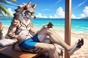 AniVerse,Seth, Big furry tail, sitting in a desk, casual clothing, beach shorts, best quality fingers in hands and feet, ((5fingers in hands, 4 toes)), hansome, detailed face, detailed eyes, big fluffy tail, trigger_(anime), 4k studio quality.,score_9,source_anime