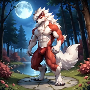 furry male, arcanine body, ((fluffy fur, fluffy, furry body)), (wolf print), red eyes, hair tuft, long hair, Light blue fur body,Light blue Fur Tail, White tip Tail,  Strong, Handsome, Muscular, Long wolf tail, midnight_lycanroc head, ((white hair, long mohawk hair, long textured bangs with a peak finish)), (white muzzle, white forearms), Handsome muscular body,  Black Tiger stripes in arms and legs,  White torso, male, solo, big pecs, cool face, solo, front view, standing, full body, smile, high quality, best resolution, cel shaded, detailed eyes, Red Short pants, 5 fingers, 4 toes, White toe claws, white toe claws, forest background, cherry trees, pink trees, pink bush, night, moon, glow