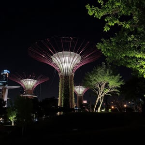 Hyper realistic photo, a place in Garden by the Bay Singapore, photo taken at night with a cellphone flash