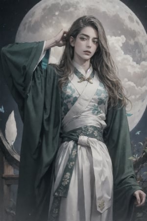 male focus, 1boy, solo, 30 years old, long hair, brown hair, some gray hair, green pupil, Chinese clothes, deep green robe, white butterfly pattern on the lower part of clothes, looking at viewer, white moon, moon behind head, aurora, cloud, High detailed, cowboy shot, outfit,2.5d, realistic render,neuvillette, print robe, (chinese style countryard), 2D amimation style