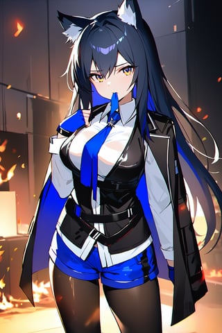 best quality, masterpiece, 1girl, animal_ear_fluff, animal_ears, arknights, black_hair, black_jacket, black_pantyhose, black_vest, blue_gloves, blue_necktie, blue_shorts, breasts, brown_eyes, closed_mouth, fingerless_gloves, fire, gloves, jacket, jacket_on_shoulders, long_hair, long_sleeves, looking_at_viewer, medium_breasts, mouth_hold, necktie, pantyhose, pantyhose_under_shorts, shirt, shorts, solo, texas_(arknights), texas_the_omertosa_(arknights), very_long_hair, vest, white_shirt, wolf_ears