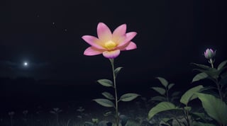 misterios glowing flower in the darkness, 4D, 8k, opaque everything else