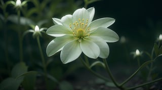 misterios glowing flower in the darkness, 4D, 8k, opaque everything else, no lights around