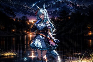 (masterpiece, high quality, best quality, detailed, anime:1.4), 1girl, solo, upper body, night, (lake, outdoor:1.2), (starry sky background:1.2), from back, straight hair, standing  k.s.miracle \(umamusume\), ear covers, blue shirt, collared shirt, blue coat, open coat, white ascot, brooch, jewelry, white gloves, half gloves, long sleeves, belt, black pants, thigh strap, tailcoat, boots  mejiro ardan \(umamusume\), ear ornament, black gloves, white gloves, asymmetrical gloves, mismatched gloves, detached sleeves, puffy sleeves, short sleeves, long sleeves, asymmetrical sleeves, uneven sleeves, ribbon, bare shoulders, off-shoulder dress, black dress, frilled dress, center frills, knee boots, asymmetrical footwear, mismatched footwear