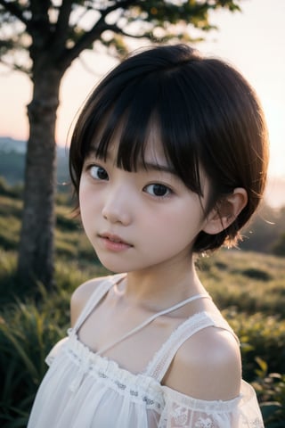 主：(Misty woods under sunset),(((face photo))),
人：1litte 1kid 7yo gril (Child:1.2), Korean beauty,
優：With a very high artistic composition style,Film photo texture,
髮：(((bangs))),(((bright short hair))),
服：Off-the-shoulder,Open collar sheer tulle,