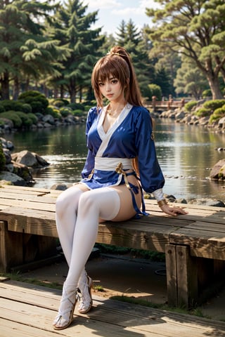 (masterpiece, best quality:1.3),
 lora:KasumiDOA:0.8,
KasumiDOA, 1girl, solo, long hair, full body, sitting, beautiful japanese garden
