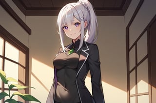 score_9, score_8_up, score_7_up, score_6_up, score_5_up, score_4_up, BREAK source_anime, 1girl, cowboy shot, solo, 
 
emilia, re:zero, silver hair, black suit jacket, black vest, black dress pants, ponytail,

looking at viewer, smile, indoors, luxray room,  