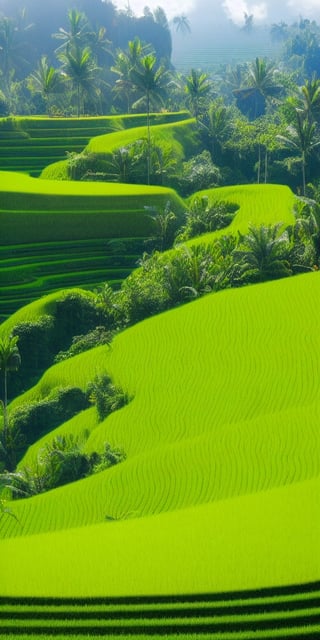 jzcg001 ,scenery,tree,, masterpiece, best quality, A photo of a winding road through a lush green rice field, framed by towering volcanoes in the background, taken with a DSLR camera with a wide-angle lens, natural lighting, and a landscape style. The location is the Tegalalang Rice Terraces in Bali, Indonesia. 