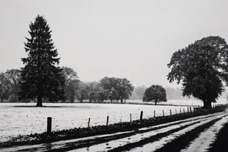 In a rural setting, winter rain drizzles down, transforming the landscape into a picturesque scene. The gentle raindrops create a soothing rhythm as they fall on the fields and meadows. Leafless trees stand as silhouettes against the gray sky, their branches adorned with delicate droplets. The wet earth exudes a rich scent, and the countryside is enveloped in a quiet, contemplative atmosphere. This winter rain paints a serene portrait of rural life, capturing the beauty of simplicity and the cycle of nature.

Positive Prompt: Rural landscape, winter rain, picturesque scene, gentle raindrops, soothing rhythm, leafless trees, silhouettes, delicate droplets, wet earth, contemplative atmosphere, beauty of simplicity, cycle of nature.