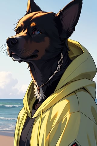 humanoid portrait of a hooded dog looking at the horizon in 4k resolution.