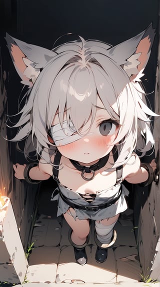 //quality, (masterpiece:1.3), (detailed), ((,best quality,)),//,1girl,solo,(loli:1.3),(cat_girl:1.4),slave,//,gray hair,messy_hair,long_hair,gray eye,(empty_eye:1.4),bandage over one eye,
,//,slave_restraints outfit,gray slave dress,(torn_clothes:1.2),bandages,bandaged_arms,bandaged_leg,//,blush,looking_above, looking_at_viewer,//,dungeon,stone wall,torch on the wall,(dark background:1.3), indoor , Europe Medieval, straight-on,from_above,