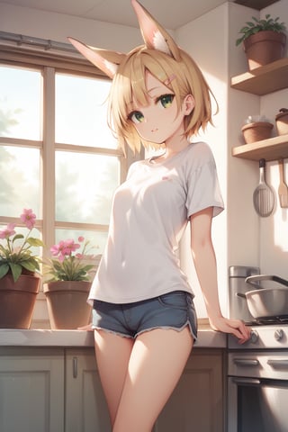 joyml, Inside the house there are messy things in the kitchen, small cupboard, flower pot window, 1 girl, short blonde hair, long brown animal ears, hair clips, short white t-shirt, green eyes, shorts, radio, detailed image, hd, smooth, ultra,score_9,score_8_up,score_7_up