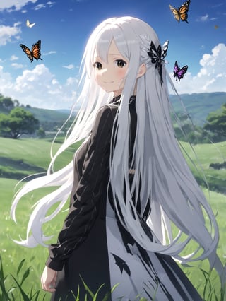 //Quality,
masterpiece, best quality, detailed
,//Character,
solo,echidna_rezero, 1girl, very long hair, white hair, black eyes, colored eyelashes
,//Fashion,
long sleeves, striped, black dress, long dress, butterfly hair ornament, black capelet
,//Background,
grassland, tea time
,//Others,
smile