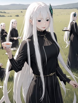 //Quality,
masterpiece, best quality, detailed
,//Character,
solo,echidna_rezero, 1girl, very long hair, white hair, black eyes, colored eyelashes
,//Fashion,
long sleeves, striped, black dress, long dress, hair ornament, black capelet
,//Background,
grassland, tea time
,//Others,
smile