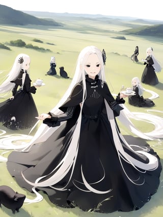 //Quality,
masterpiece, best quality, detailed
,//Character,
solo,echidna_rezero, 1girl, very long hair, white hair, black eyes, colored eyelashes
,//Fashion,
long sleeves, striped, black dress, long dress, hair ornament, black capelet
,//Background,
grassland, tea time
,//Others,
smile