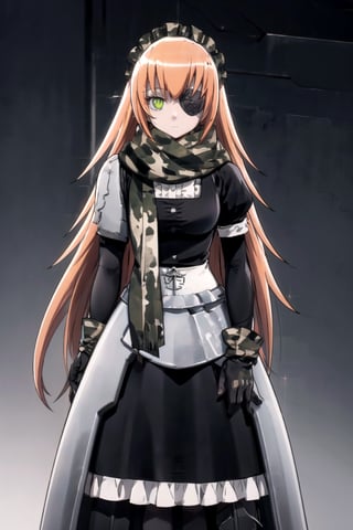 //Quality,
masterpiece, best quality
,//Character,
1girl, solo
,//Fashion,
,//Background,
white_background, simple_background
,//Others,
,cz2128 delta, eyepatch, maid, maid headdress, scarf, camouflage, armor, gloves, v arms, looking at viewer, expressionless