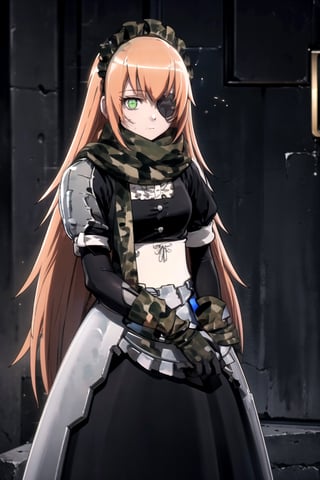 //Quality,
masterpiece, best quality
,//Character,
1girl, solo
,//Fashion,
,//Background,
white_background
,//Others,
,cz2128 delta eyepatch, maid, maid headdress, scarf, camouflage, armor, gloves, v arms, looking at viewer, expressionless