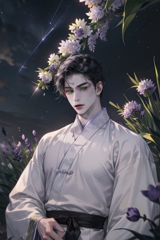 1boy, pale skin, long black hair, green eyes, ancient Chinese purple hanfu wuth silver pattern, light purple robe, spy, dark night sky, lavender flowers