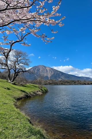 A serene outdoor scene unfolds: a bright blue sky stretches above a tranquil landscape. A gentle breeze rustles the delicate cherry blossom branches, their pink petals reflected perfectly in the calm water's surface. In the distance, a majestic mountain range rises, its rugged peaks softened by the soft focus of the atmosphere. A lone tree stands sentinel beside the riverbank, its roots exposed as the grassy slope meets the lake's edge. The cloud-dotted sky above casts a warm glow on this peaceful retreat, where nature reigns supreme.