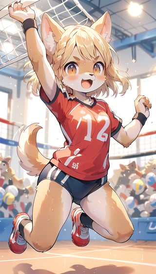  score_9_up, score_8_up, score_7_up,score_6_up,score_5_up,source_anime,masterpiece,best quality,illustration,cute,kawaii,1girl,solo,blonde hair,french_braid,dog ears,gradient brown eyes,On the Olympic stage,a girl playing volleyball. Her sporty posture and focused expression convey a strong determination to win.indoors,volleyball uniform,sweat,serious,(excited:1.1),open mouth,(furry:1.3),(high jumping attack:1.5),buruma,(very wide shot:1.3)