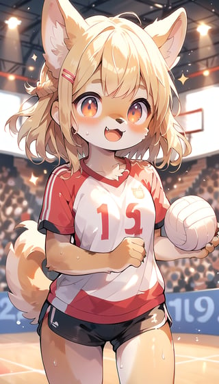  score_9_up, score_8_up, score_7_up,score_6_up,score_5_up,source_anime,masterpiece,best quality,illustration,cute,kawaii,1girl,solo,blonde hair,french_braid,dog ears,gradient brown eyes,On the Olympic stage,a girl playing volleyball. Her sporty posture and focused expression convey a strong determination to win.indoors,volleyball uniform,sweat,serious,(excited:1.3),(furry:1.3)