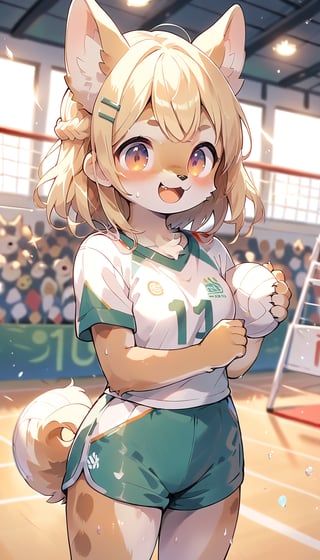  score_9_up, score_8_up, score_7_up,score_6_up,score_5_up,source_anime,masterpiece,best quality,illustration,cute,kawaii,1girl,solo,blonde hair,french_braid,dog ears,gradient brown eyes,On the Olympic stage,a girl playing volleyball. Her sporty posture and focused expression convey a strong determination to win.indoors,volleyball uniform,sweat,serious,(excited:1.3),(furry:1.3)