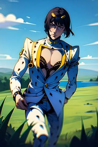 bruno bucciarati, bucciarati from jojo's bizarre adventure,  ((solo)), 1boy, short hair, black hair, pectoral cleavage, male focus, single, white suit, white shirt, zippers, black drops pattern, detailed,  blue eyes, closed mouth, half body, sexy, background lake, green field, nature, blue sky, TOROGAO