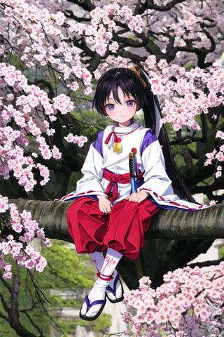 outdoors, tree, cherry blossoms, scenery,8k,soft light, 1boy, 10 year-old ,solo, long hair, black hair,looking at viewer, smile, white long sleeves, (realistic skin),  (light smile:1.1),(sit on tree), very long hair, closed mouth, purple eyes, full body, ponytail, weapon, male focus, japanese clothes, pants, sword, wide sleeves, red ribbon, sandals, katana, sheath, ribbon trim, ribbon-trimmed sleeves, sheathed, tabi,Realism, photorealistic,  cinematic lighting effects, realism, super realistic