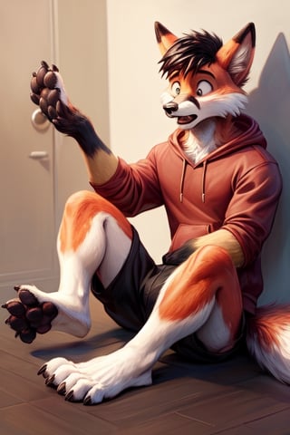 looking shocked, anthro, fox, transformation,showing his feet, wearing shorts, red hoodie,whole body covered in bright red fur, white soles, dark black paw pads, animal feet, claws, Furry_feet