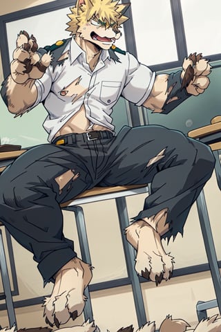 furry, 1boy, Katsuki_Bakugo, (transformation1.5), Furry_feet, male, muscle, classroom, torn clothes, uniform, angry, man to cat, 