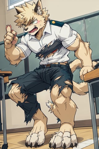 furry, 1boy, Katsuki_Bakugo, (transformation), Furry_feet, male, muscle, classroom, torn clothes, uniform, angry, man to cat, fur growth, datailed_fur, furry_hand, 