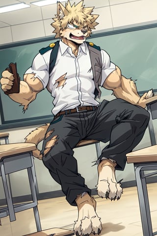 furry, 1boy, Katsuki_Bakugo, (transformation1.5), Furry_feet, male, muscle, classroom, torn clothes, uniform, angry, man to cat, 