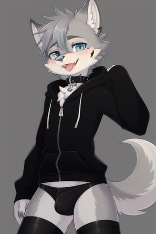 Raff is a grey wolf guy with blue eyes, femboy and is wearing thigh highs and arm sleeves with a black hoodie and trousers on, incredibly horny, mouth wide open smiling with tongue out, he's wearing a collar around his neck, standing , looking sexy, make him look breedable 