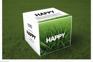 Masterpiece , ( ultra detailed:1.2 ) , hyperrealistric photo , 1box , cube , closed , Each side of the box is white , text ("HAPPY") is printed on the front , There is no text on other sides of the box , put the box on the grass gorund  ,