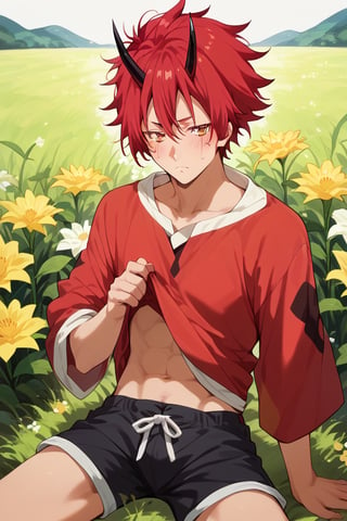 Score_9, Score_8_up, Score_7_up, Score_6_up, Score_5_up, Score_4_up,
a man sitting in a field of flowers, looking at me blushing, shorts, short shirt, red shirt, lifting up his shirt,
,benimaru_tensura