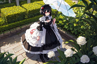 1girl,solo,blunt_bangs,short_hair,large_breasts,black_hair,red_eyes,gothic_lolita,black_lolita,having_a_parasol,black_lace_parasol,standing,botanical_garden,full_body,from_above,