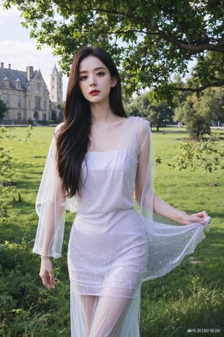 1girl, medieval, black hair, young lady, relaxed expression, detailed eyes, long hair, casual dress, (medieval dress:1.2), natural makeup, standing pose, grassy field, castle in the distance, sunny day, blue sky, fluffy white clouds, beautifully detailed background, depth of field, realistic, ambient light, (cinematic composition:1.3), HDR, Accent Lighting, wide-angle lens, best quality, masterpiece.