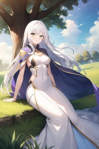 white hair, long hair, green eyes, medium breast, white dress, purple cape, grassland, tree, sun, cloud