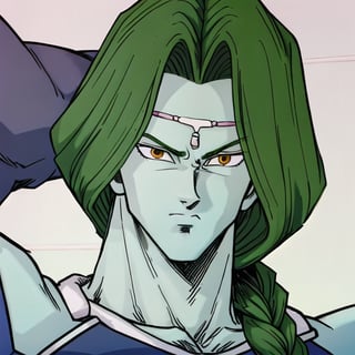 zarbon,1boy,male,solo,blue skin,yellow eyes,long green hair,single braid,hair over the shoulder