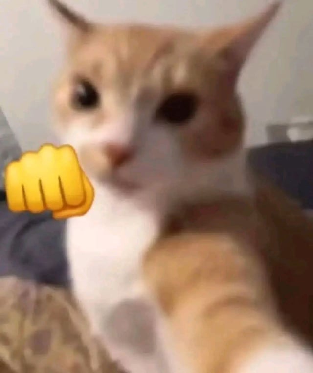 1012118927364353085