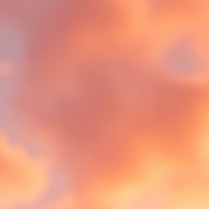 815871068704097021