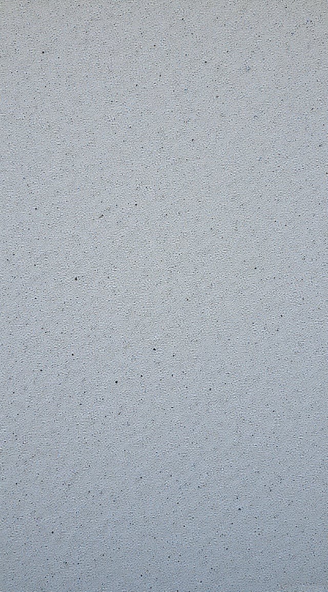 1000186744785636362