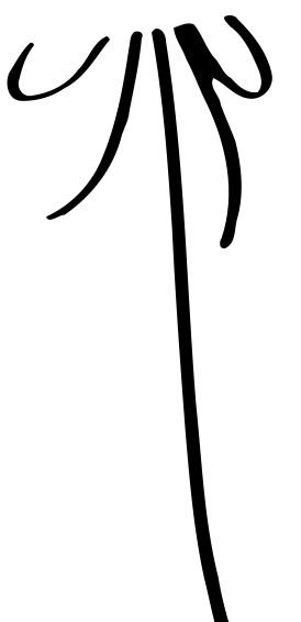 1021531372889625439