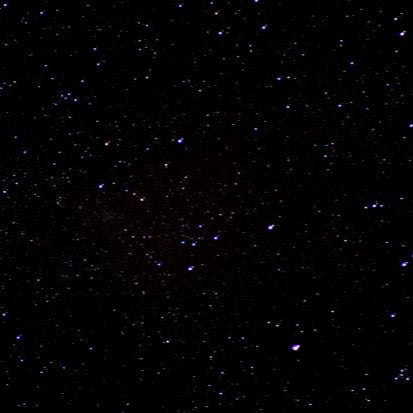 1005846423981306136