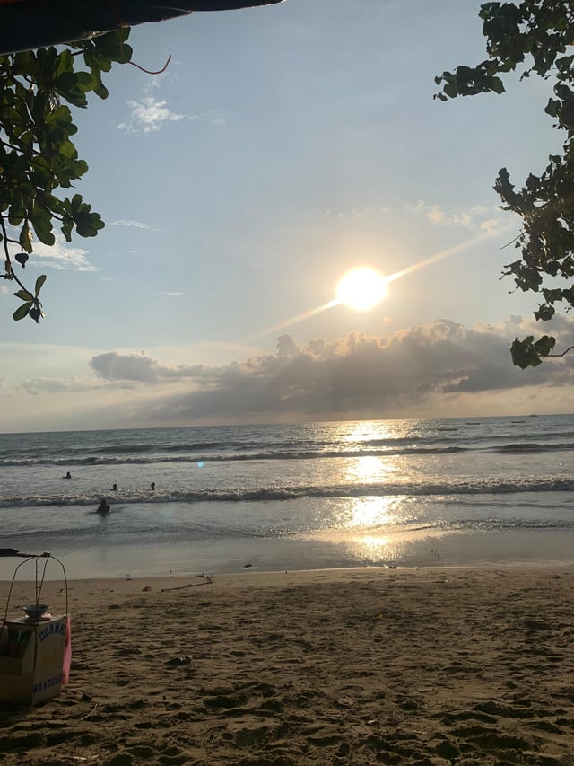 919191745785289366