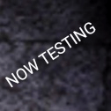 1013181714874245219