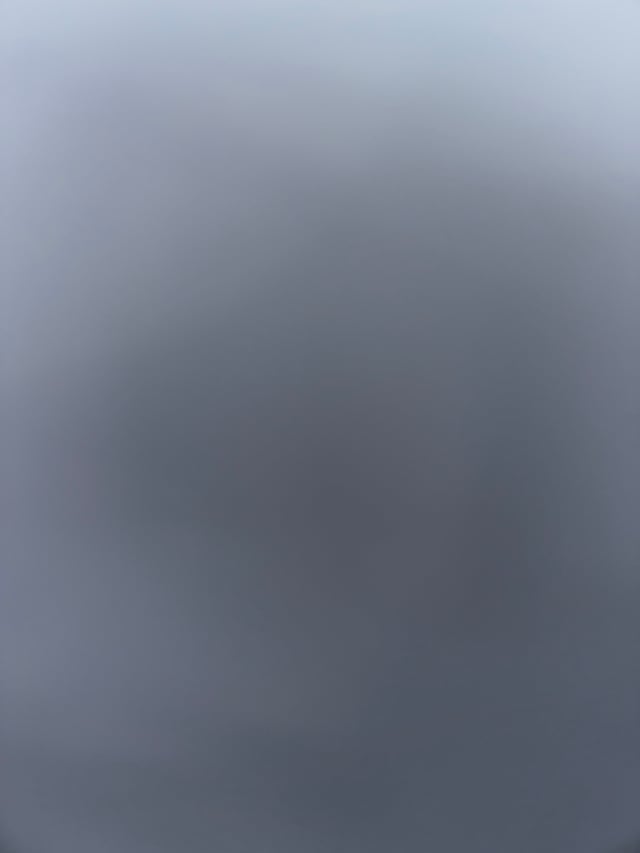 1005675597025817735